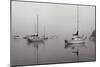 Across the Lake - BW-Tammy Putman-Mounted Photographic Print