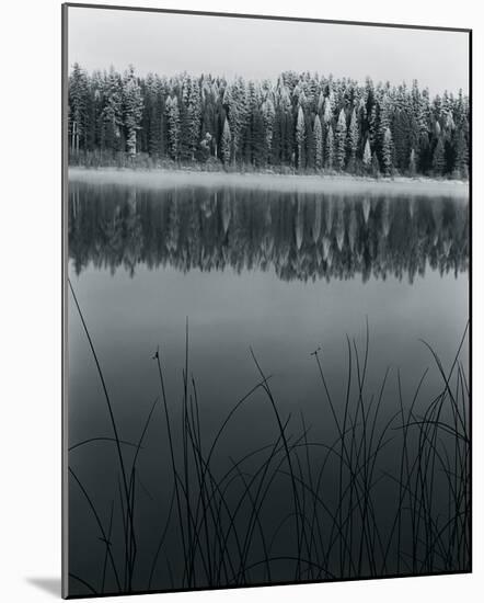 Across The Lake-Andrew Geiger-Mounted Giclee Print