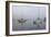 Across the Lake-Tammy Putman-Framed Photographic Print