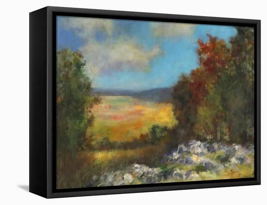 Across the Valley  I-David Swanagin-Framed Stretched Canvas