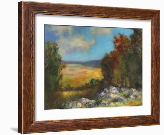 Across the Valley  I-David Swanagin-Framed Art Print