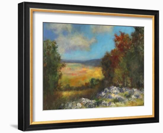 Across the Valley  I-David Swanagin-Framed Art Print