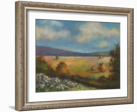 Across the Valley  II-David Swanagin-Framed Art Print