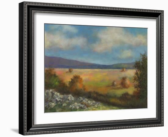 Across the Valley  II-David Swanagin-Framed Art Print