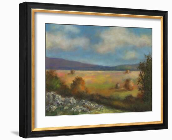 Across the Valley  II-David Swanagin-Framed Art Print