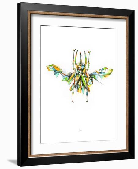 Actaeon Beetle-Alexis Marcou-Framed Art Print