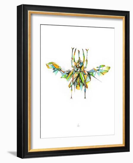 Actaeon Beetle-Alexis Marcou-Framed Art Print