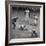 Action During a Game Between the Brooklyn Dodgers and the Milwaukee Braves at Ebbet's Field-Ralph Morse-Framed Premium Photographic Print