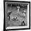 Action During a Game Between the Brooklyn Dodgers and the Milwaukee Braves at Ebbet's Field-Ralph Morse-Framed Premium Photographic Print