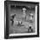 Action During a Game Between the Brooklyn Dodgers and the Milwaukee Braves at Ebbet's Field-Ralph Morse-Framed Premium Photographic Print