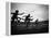 Action During the Women's 100m Hurdles at the 1952 Olympic Games in Helsinki-Mark Kauffman-Framed Premier Image Canvas