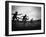 Action During the Women's 100m Hurdles at the 1952 Olympic Games in Helsinki-Mark Kauffman-Framed Photographic Print