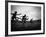 Action During the Women's 100m Hurdles at the 1952 Olympic Games in Helsinki-Mark Kauffman-Framed Photographic Print