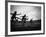 Action During the Women's 100m Hurdles at the 1952 Olympic Games in Helsinki-Mark Kauffman-Framed Photographic Print