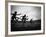 Action During the Women's 100m Hurdles at the 1952 Olympic Games in Helsinki-Mark Kauffman-Framed Photographic Print