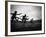 Action During the Women's 100m Hurdles at the 1952 Olympic Games in Helsinki-Mark Kauffman-Framed Photographic Print