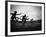 Action During the Women's 100m Hurdles at the 1952 Olympic Games in Helsinki-Mark Kauffman-Framed Photographic Print