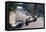 Action from the Monaco Grand Prix, 1968-null-Framed Premier Image Canvas