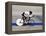 Action of Female Cyclist Competing on the Velodrome-null-Framed Premier Image Canvas