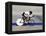 Action of Female Cyclist Competing on the Velodrome-null-Framed Premier Image Canvas