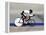 Action of Female Cyclist Competing on the Velodrome-null-Framed Premier Image Canvas