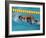 Action of Female Freestyle Swimmer, Athens, Greece-Paul Sutton-Framed Photographic Print