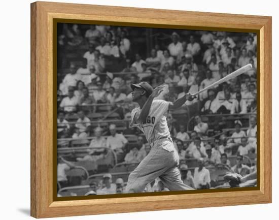 Action Shot of Chicago Cub's Ernie Banks, Following Direction of Baseball Resulting from His Hit-John Dominis-Framed Premier Image Canvas