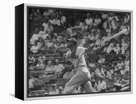 Action Shot of Chicago Cub's Ernie Banks, Following Direction of Baseball Resulting from His Hit-John Dominis-Framed Premier Image Canvas