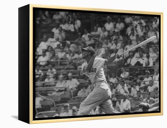 Action Shot of Chicago Cub's Ernie Banks, Following Direction of Baseball Resulting from His Hit-John Dominis-Framed Premier Image Canvas