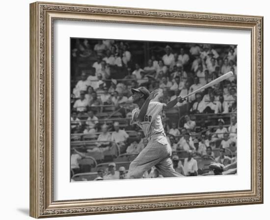 Action Shot of Chicago Cub's Ernie Banks, Following Direction of Baseball Resulting from His Hit-John Dominis-Framed Premium Photographic Print