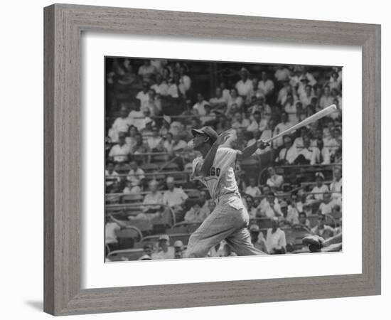 Action Shot of Chicago Cub's Ernie Banks, Following Direction of Baseball Resulting from His Hit-John Dominis-Framed Premium Photographic Print