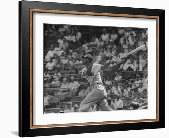 Action Shot of Chicago Cub's Ernie Banks, Following Direction of Baseball Resulting from His Hit-John Dominis-Framed Premium Photographic Print