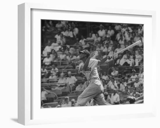 Action Shot of Chicago Cub's Ernie Banks, Following Direction of Baseball Resulting from His Hit-John Dominis-Framed Premium Photographic Print