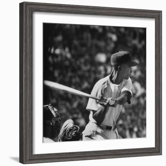 Action Shot of Chicago Cub's Ernie Banks, Preparing to Smack the Incoming Baseball with His Bat-John Dominis-Framed Premium Photographic Print