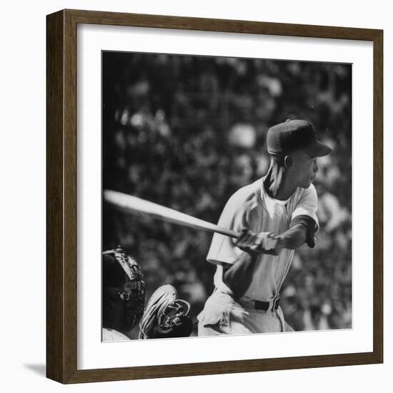 Action Shot of Chicago Cub's Ernie Banks, Preparing to Smack the Incoming Baseball with His Bat-John Dominis-Framed Premium Photographic Print