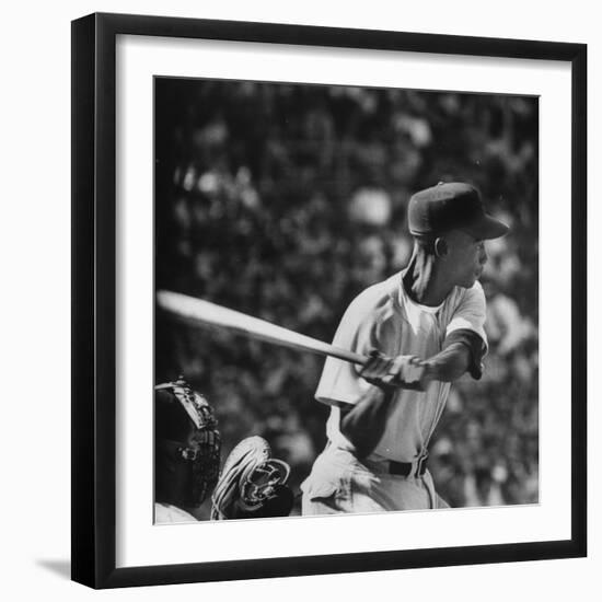 Action Shot of Chicago Cub's Ernie Banks, Preparing to Smack the Incoming Baseball with His Bat-John Dominis-Framed Premium Photographic Print