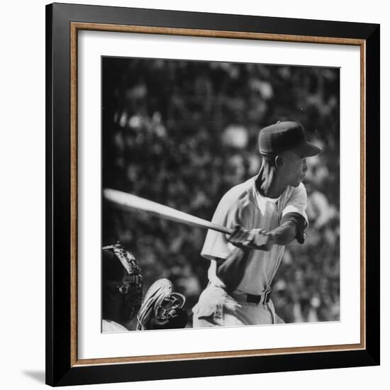 Action Shot of Chicago Cub's Ernie Banks, Preparing to Smack the Incoming Baseball with His Bat-John Dominis-Framed Premium Photographic Print