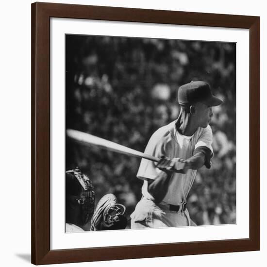 Action Shot of Chicago Cub's Ernie Banks, Preparing to Smack the Incoming Baseball with His Bat-John Dominis-Framed Premium Photographic Print