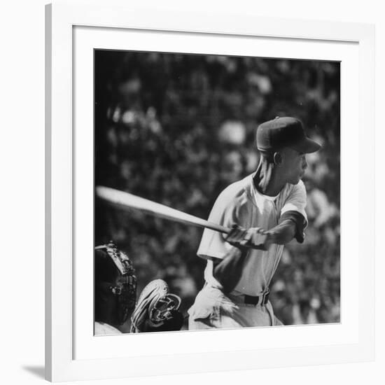 Action Shot of Chicago Cub's Ernie Banks, Preparing to Smack the Incoming Baseball with His Bat-John Dominis-Framed Premium Photographic Print