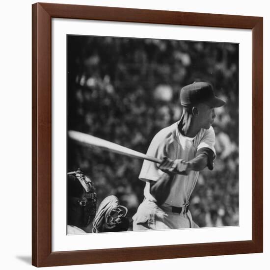 Action Shot of Chicago Cub's Ernie Banks, Preparing to Smack the Incoming Baseball with His Bat-John Dominis-Framed Premium Photographic Print