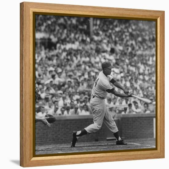 Action Shot of Chicago Cub's Ernie Banks Smacking the Pitched Baseball-John Dominis-Framed Premier Image Canvas