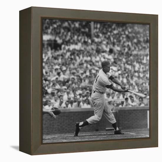 Action Shot of Chicago Cub's Ernie Banks Smacking the Pitched Baseball-John Dominis-Framed Premier Image Canvas