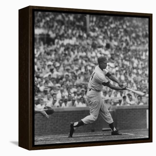 Action Shot of Chicago Cub's Ernie Banks Smacking the Pitched Baseball-John Dominis-Framed Premier Image Canvas