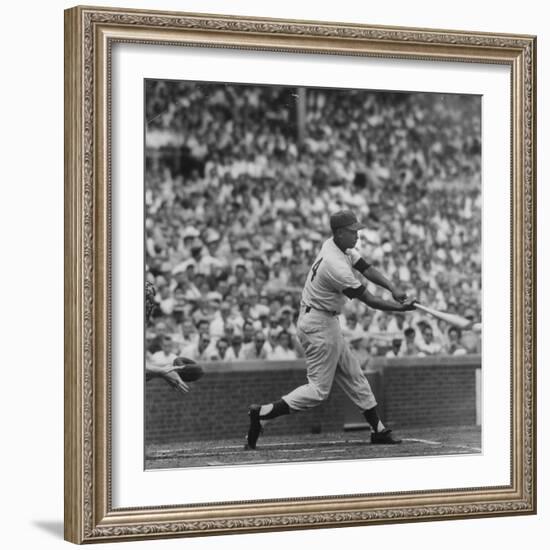 Action Shot of Chicago Cub's Ernie Banks Smacking the Pitched Baseball-John Dominis-Framed Premium Photographic Print