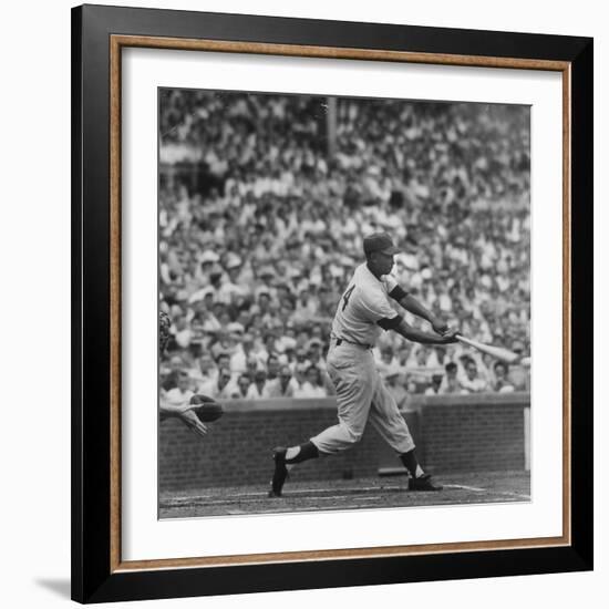 Action Shot of Chicago Cub's Ernie Banks Smacking the Pitched Baseball-John Dominis-Framed Premium Photographic Print