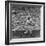 Action Shot of Chicago Cub's Ernie Banks Smacking the Pitched Baseball-John Dominis-Framed Premium Photographic Print