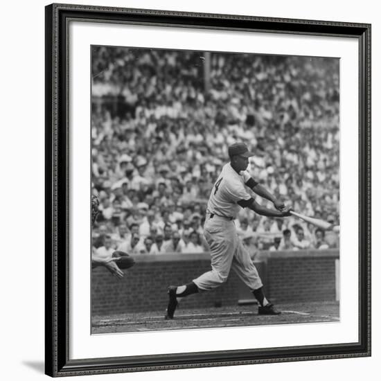 Action Shot of Chicago Cub's Ernie Banks Smacking the Pitched Baseball-John Dominis-Framed Premium Photographic Print