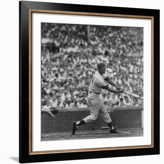 Action Shot of Chicago Cub's Ernie Banks Smacking the Pitched Baseball-John Dominis-Framed Premium Photographic Print