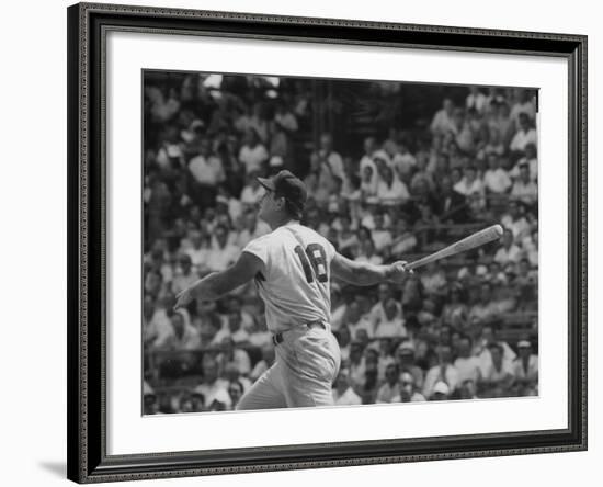 Action Shot of Cincinatti Red's Ted Kluszewski, Following the Direction of Baseball from His Hit-John Dominis-Framed Premium Photographic Print