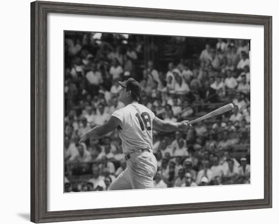 Action Shot of Cincinatti Red's Ted Kluszewski, Following the Direction of Baseball from His Hit-John Dominis-Framed Premium Photographic Print